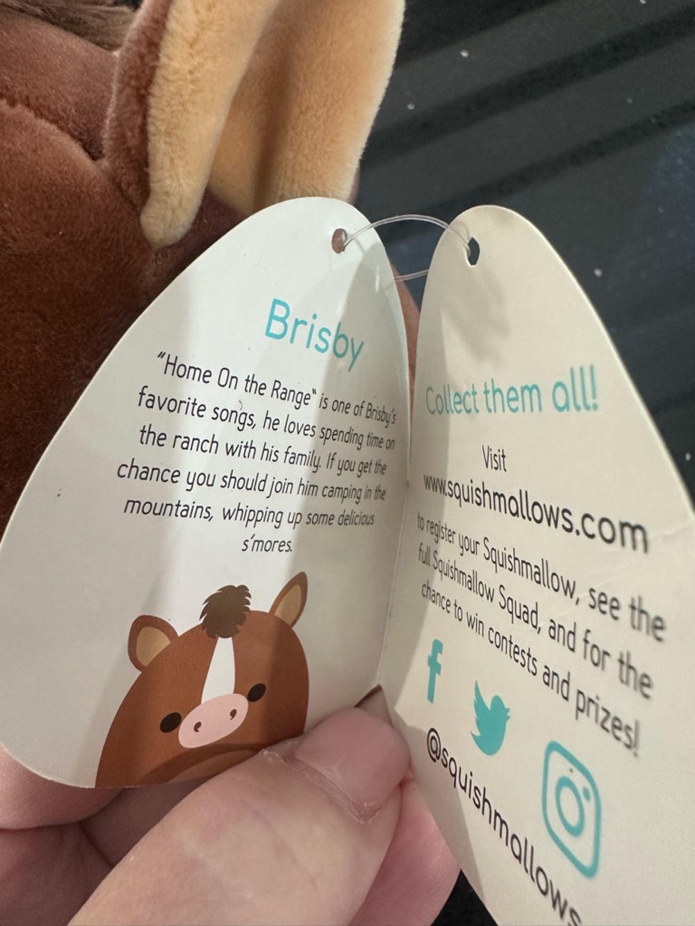 Squishmallows 8" Brisby the Brown Horse - 2019 Original Squad - Picture 7 of 10